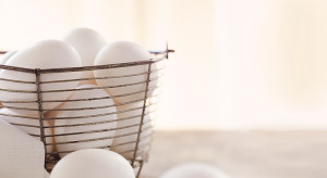 Egg Storage Tips