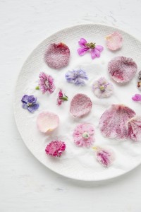 Crystallised edible flowers by Jocelyn Cross and Mat Pember