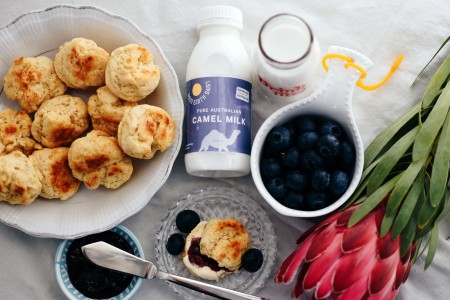 Camel milk scones paired with a bowl of fresh berries