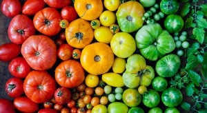 Heirloom vegetables - tomatoes