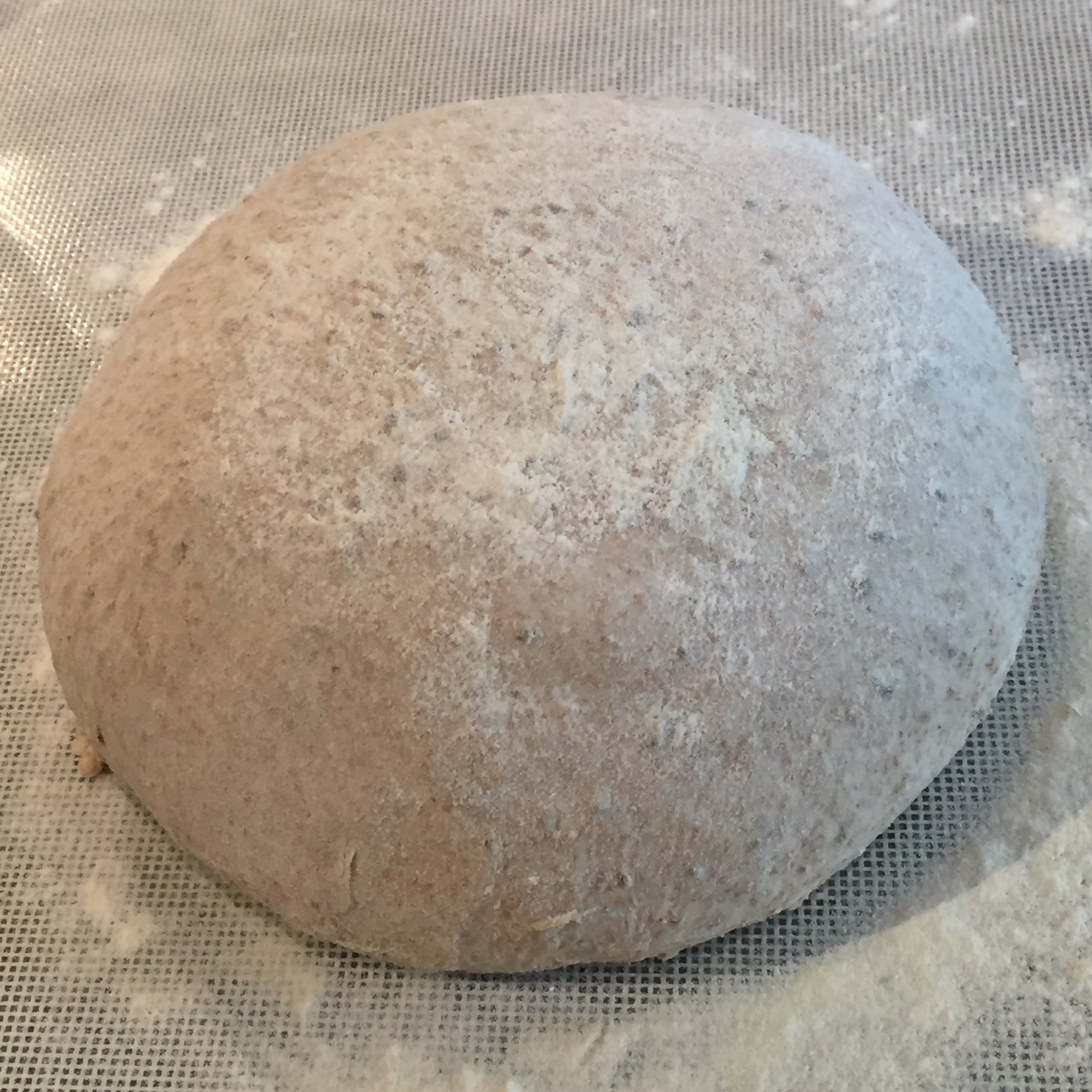 shaped dough, seam up inside the banneton