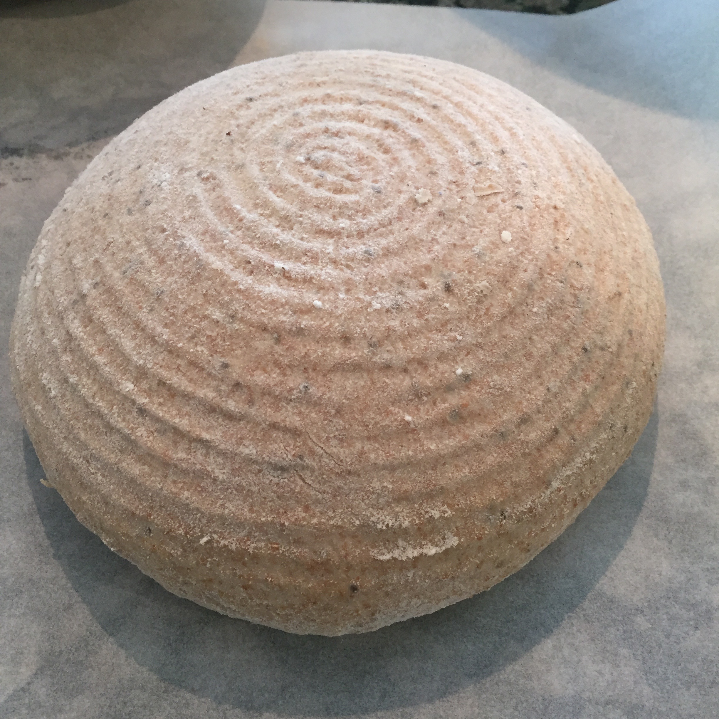 risen dough inside the banneton, and ready for baking.
