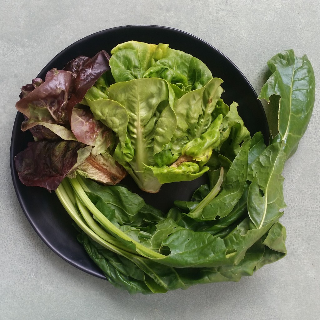 How to use leftover lettuce and greens by Leftover Lovers