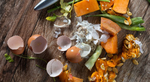 Recycling Food scraps into Compost