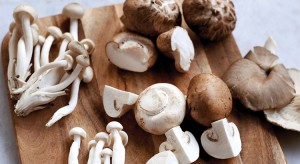 How to store, clean, and choose mushrooms