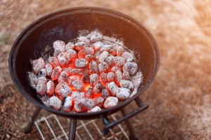 How to Flavour Food for the Grill (2)