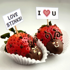 Strawberry Love Bugs